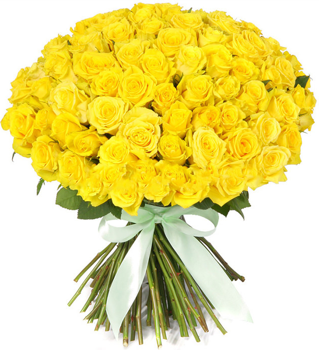 Розы Россия желтые Розы Россия желтые