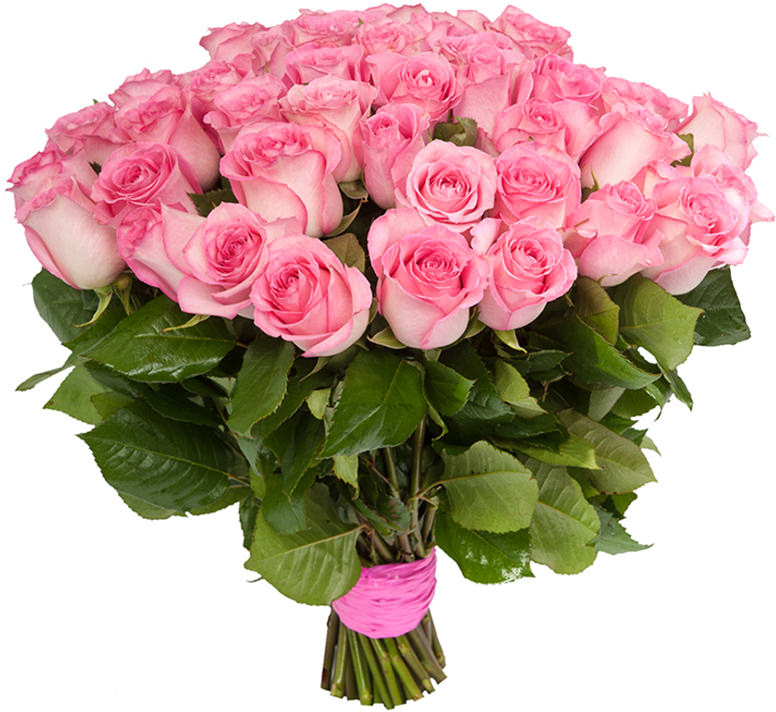 Розы Эквадор розовые Розы Эквадор розовые