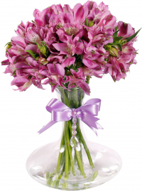 Фиолетовые альстромерии Фиолетовые альстромерии