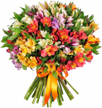 Альстромерии Микс № 1 Альстромерии Микс № 1