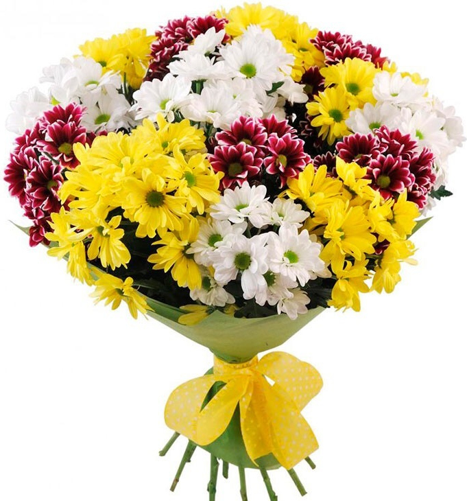 из ромашковых хризантем Букет «Досчитай до ста»